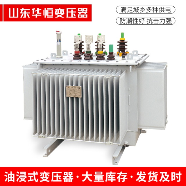 S13-10000/35龙里龙里龙里电力变压器
